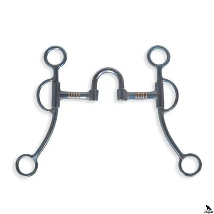 Westernové zubadlá