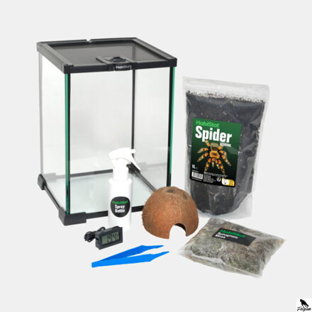 POČETNI KOMPLET ZA BESKRAJNJAČE