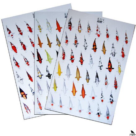 KOIC Koi Poster (96 x 69cm) 3x