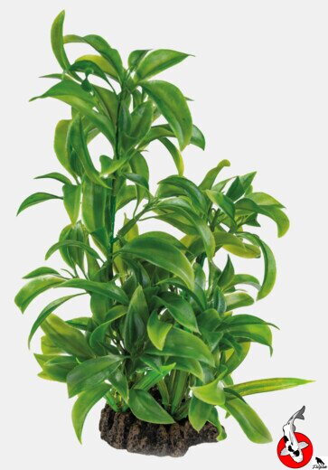 ART RASTLINA 25CM DRACAENA