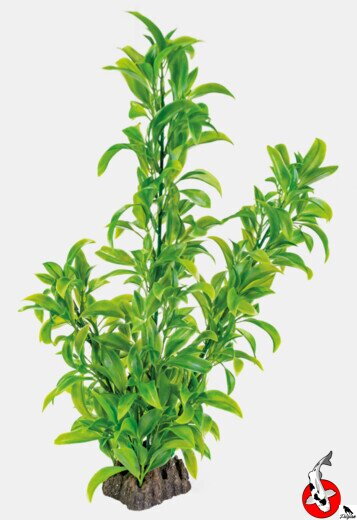 ART RASTLINA 40CM DRACAENA