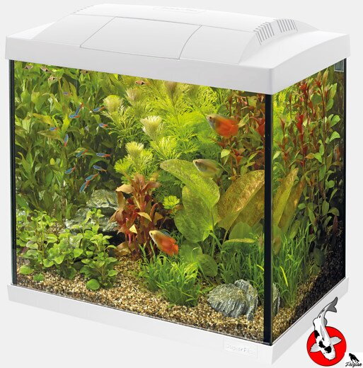 SUPERFISH START 30 TROPICAL SET BIJELA