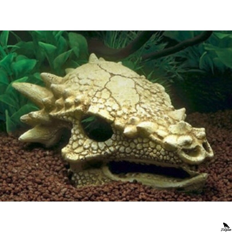  skull t-rex M 15x11x8cm