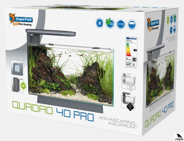 SUPERFISH QUADRO 40 PRO bijele