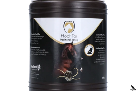 Starostlivosť o kopytá koní