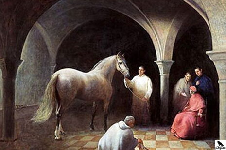 HISTÓRIA KONÍ ZO ŠPANIELSKA